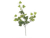   `[VTXoC GREEN