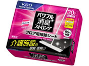 KAO/ptLXgO tAp|V[g 10x3