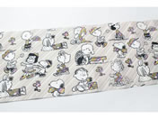 J/mtCNV[g Peanuts s[ibcEXgCv/MTCARPT02