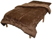 �t�@�~���[�E���C�t/�g���v���E�H�[���ѕz�z�c�Z�b�g �V���O�� �u���E��/0459730