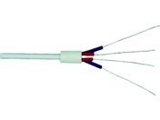 白光/ヒーター 100-120V/A1600