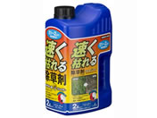 �g���`���[/�����͂�鏜���� �N�T�L�[��0�V�����[ 2L/#379946