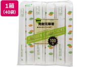 aY/Aэތ\ k} 100V~40