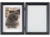 �i�J�o���V/��&�t�H�g�t���[�� 2�� 2L �u���b�N/F-TW-117-D