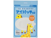 {Y/ACpb` A-2 zCg 傫 30