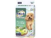 ���j�E�`���[��/�f�I�V�[�g ���L �O���[�� ���M�����[ 80��