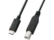 TTvC/USB2.0 Type C-BP[u(1mEubN)/KU-CB10
