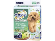 ���j�E�`���[��/�f�I�V�[�g ���L �O���[�� R 120��