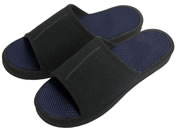 At@bNX/KYӂ݂ NV/508021