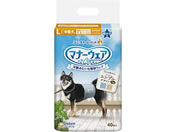 ���j�E�`���[��/�}�i�[�E�F�A �j�̎q �X�g���C�v�W�[���Y L 40��