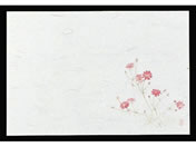 マイン/四季紙 千寿 100枚入 M30-212 秋桜/6069000