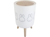 IJg[ miffy ꌓ_Xg{bNX
