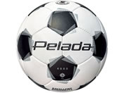 モルテン/ペレーダ4000 5号/F5K4000