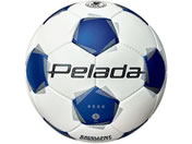 モルテン/ペレーダ4000 5号 白青/F5K4000WB