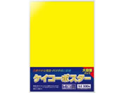 �T�T�K��/�P�C�R�[�|�X�^�[ A4�� ���� ������ 100��/13-5165