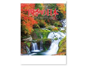 �V���{�J�����_�[ �l�G�̓��{ NK8087