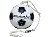 e/y[_g[jO ebT[/F5K9300