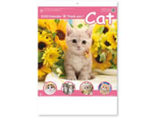 �V���{�J�����_�[ �T���L���[�E�L���b�g NK8455