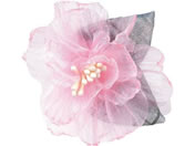 A[ebN/RT[W [Xt[ sN/118863