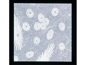 A[ebN/NA~ ԕ 200 HG-200 ua
