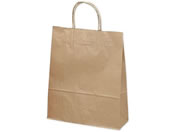 �T�T�K��/��񂰑� ���N 260�~100�~310mm 50��/50-5101