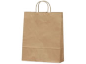 �T�T�K��/��񂰑� ���N 320�~110�~400mm 50��/50-5301