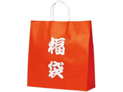 �T�T�K��/��񂰑� ���� 320�~110�~330mm 50��/50-5343