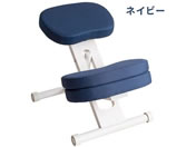 宮武製作所/クッション付きプロポーションチェアキッズ ホワイトネイビー