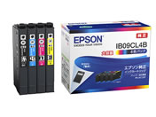 EPSON CNpbN 4FpbN e IB09CL4B