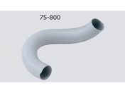 AY dtL_Ng 75-800
