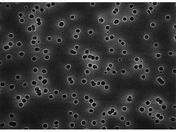 Merck/Isopore disc PC philic 8.0μm 13mm wh pln 100/Pk 100PK/TETP01300