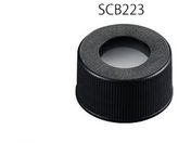 AY VWoCApLbv(3mmZv^t)100  SCB223