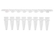 R[jOEAxygen/PCR8A`[u0.2mL  tbgLbvt(pbN)/PCR-0208-FCP-C-J