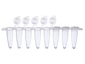 WATSON/0.2mL PCR8A`[u tbgLbvt/137-231C