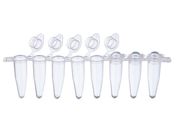 WATSON/0.2mL PCR8A`[u h[Lbvt/137-232C