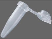 AY/PCR`[u 0.5mL 1000/PCR-05ML