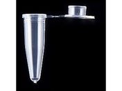 rI/rIPCR`[u 0.2mL tbgLbv