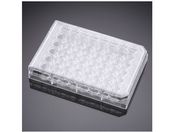 Corning/ZJ`[ 48EF }`EFv[g(3530786) t^t/353230