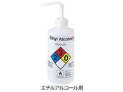 TSNa/iʈSr G`AR[p/2425-0502
