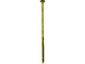 DAIDOHANT VP EbhOrX lW T 1~200 N[g 10{ 10175462