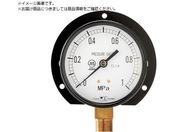 /ʐ^v Bg^E100 ̓W0.0`-0.1MPa R3/8 1030901