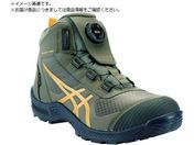 ASICS/EBWuCP604 G[TX BOA }gO[~^CK[CG[