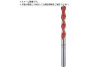 ALPEN/マルチカット 6.0×100mm ストレートシャンク 17200600
