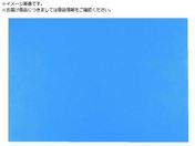 SCS/ÓdCgUo[}bg  1M X 5M 1891 1X5