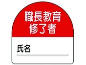 jbg C҃XebJ[E PPXebJ[ 35~35 10g
