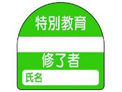 jbg C҃XebJ[ʋ PPXebJ[ 35~35 10g