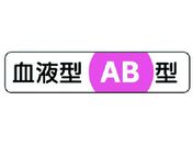 jbg t^XebJ[AB^ PPXebJ[ 12~55 101V[g