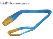 TESAC/ブルースリング JIS4等級・両端アイ形 荷重1.6t全長1.0m