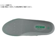 ~hS/KJbvC\[ AD-31WP LTCYAD-31WP-GY-L
