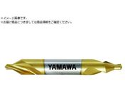 }/R[eBO˂aA`60 Z^h JIS1` CE-S V 1 2.5X60X8 CE-S-V-1-2.5X60X8
